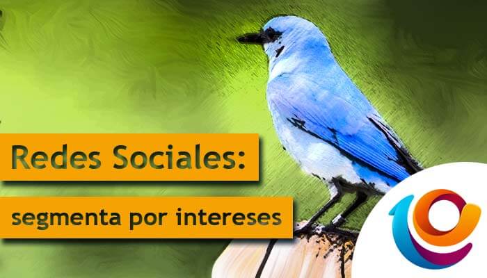 redes sociales